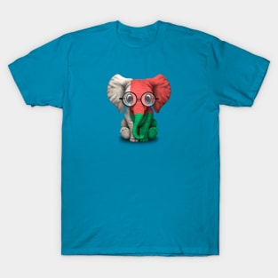 Baby Elephant with Glasses and Madagascar Flag T-Shirt